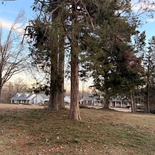 Safe-Again-Storm-Debris-Cleanup-In-Oxford-MS 17